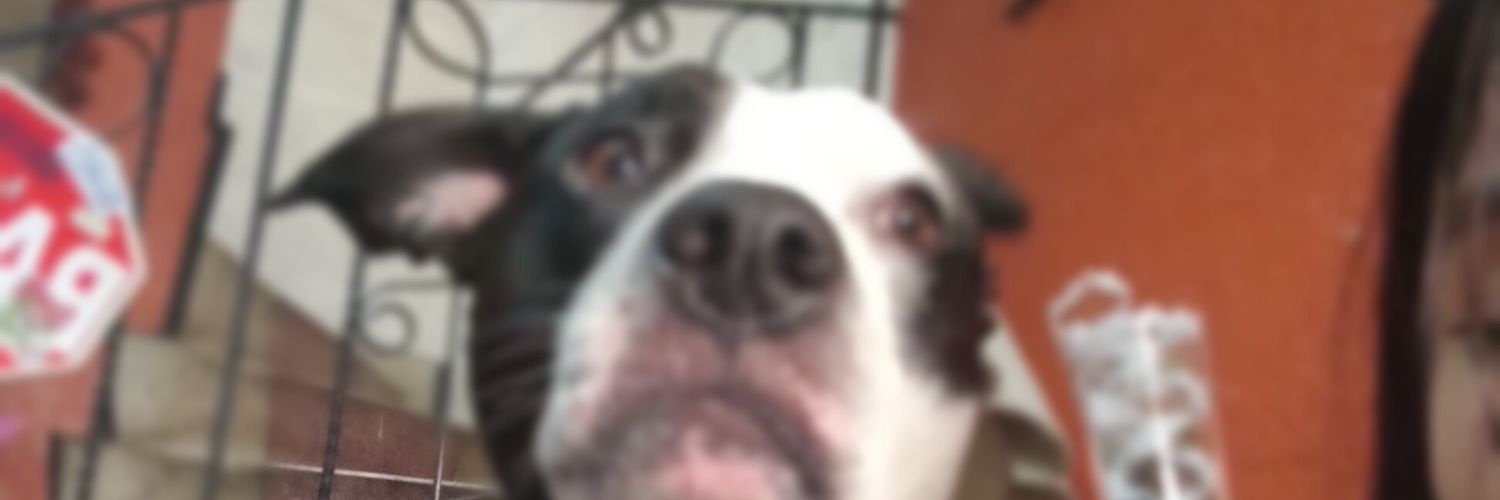 breastplateee's profile banner image