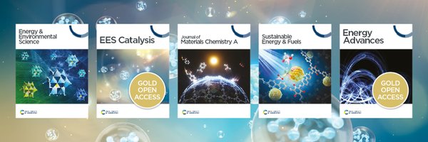 RSC_Energy Profile Banner