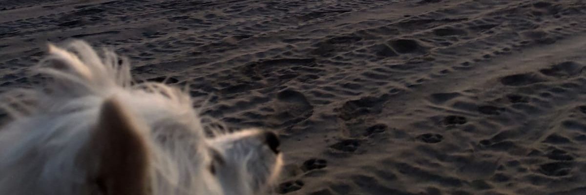 J64019292's profile banner image
