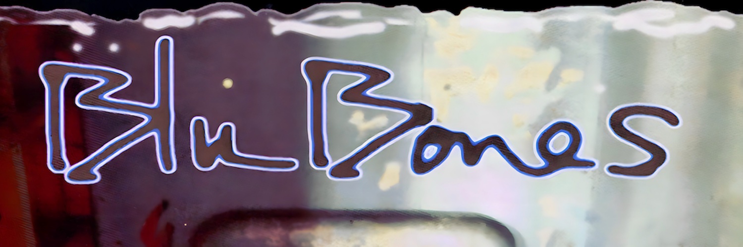 BluBones_'s profile banner image