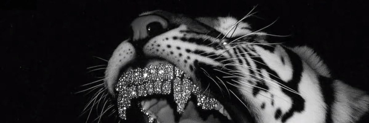 AriJ_Martinez's profile banner image