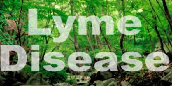 LymeIssues's profile banner image