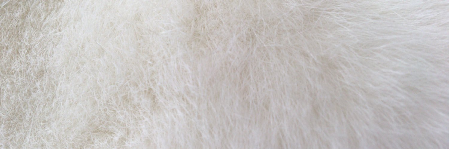520Acco's profile banner image