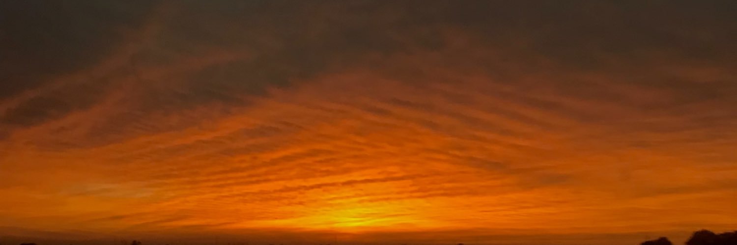 DeniTissera's profile banner image