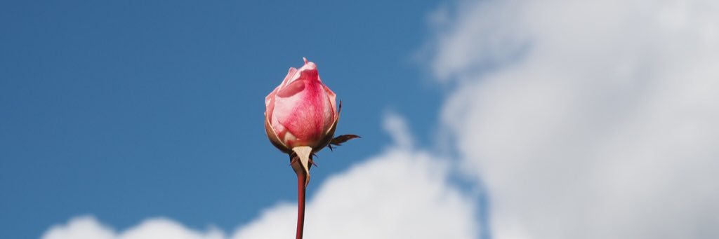 rubee720's profile banner image