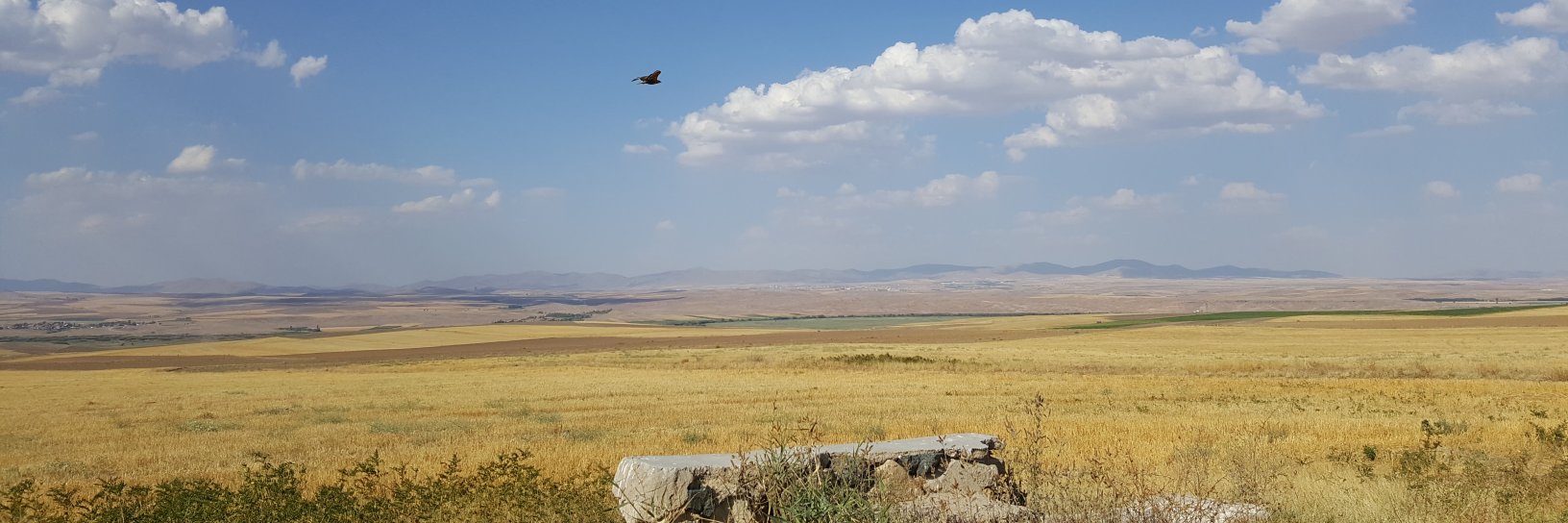 _tariktekin's profile banner image