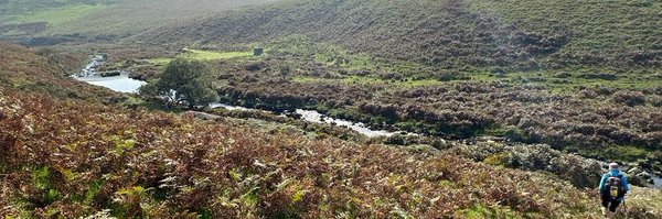 SueWillman Profile Banner