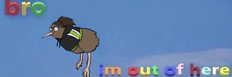 cmdrkiwi's profile banner image