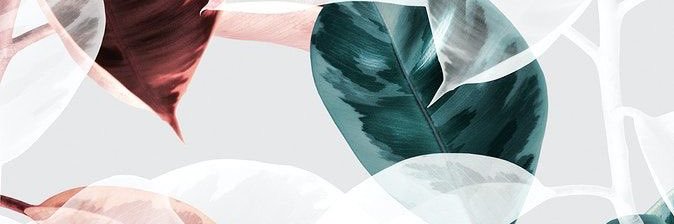kbmXxo's profile banner image