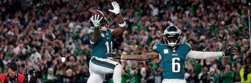 Shroozy 🦅 banner