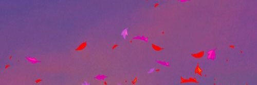 yoenasoshi's profile banner image
