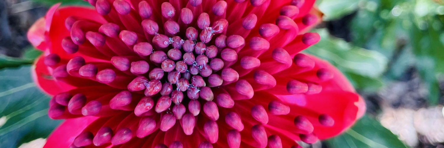 DonellaJ's profile banner image