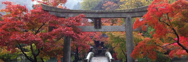 jr_pritchard Profile Banner