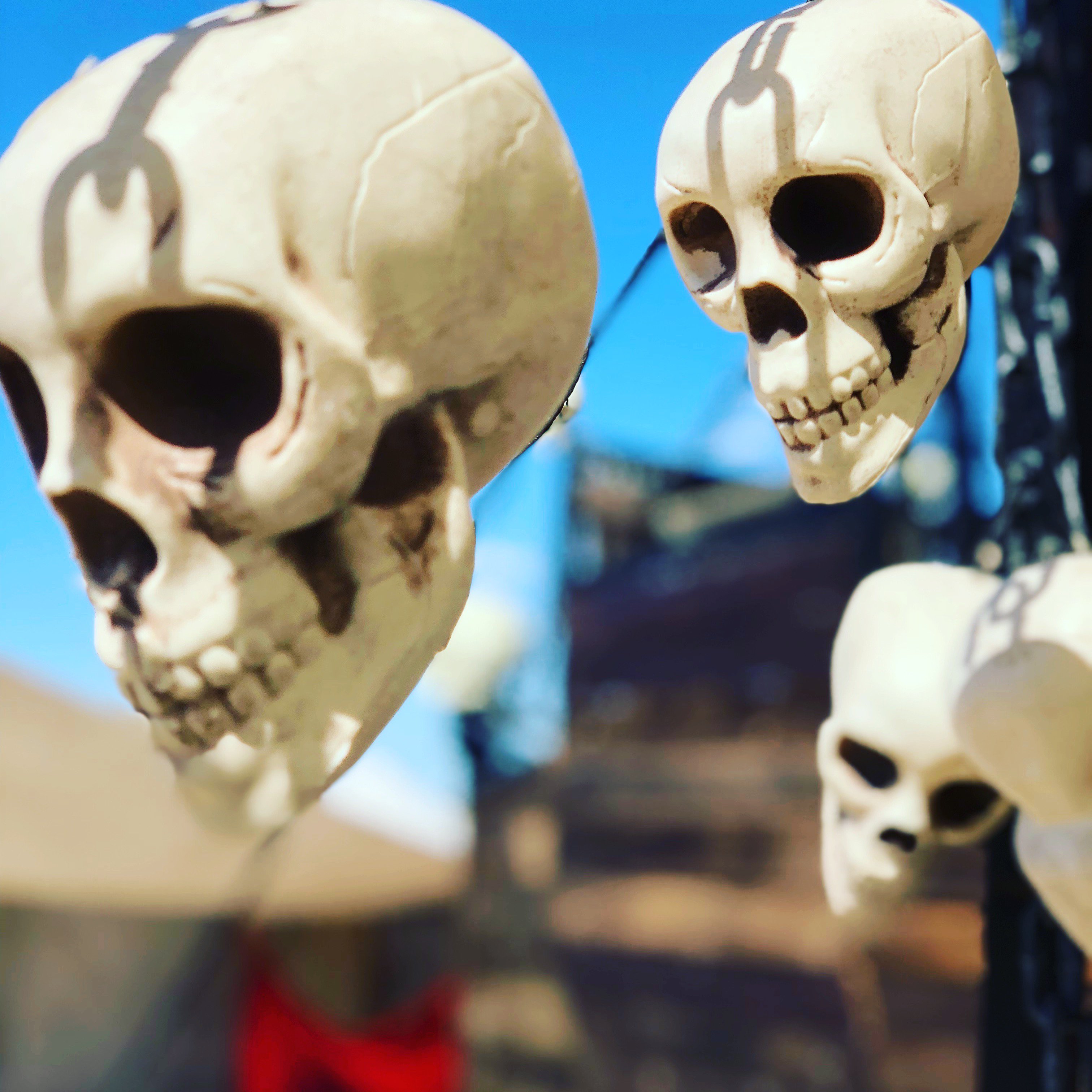 Pinky Pandemonium banner