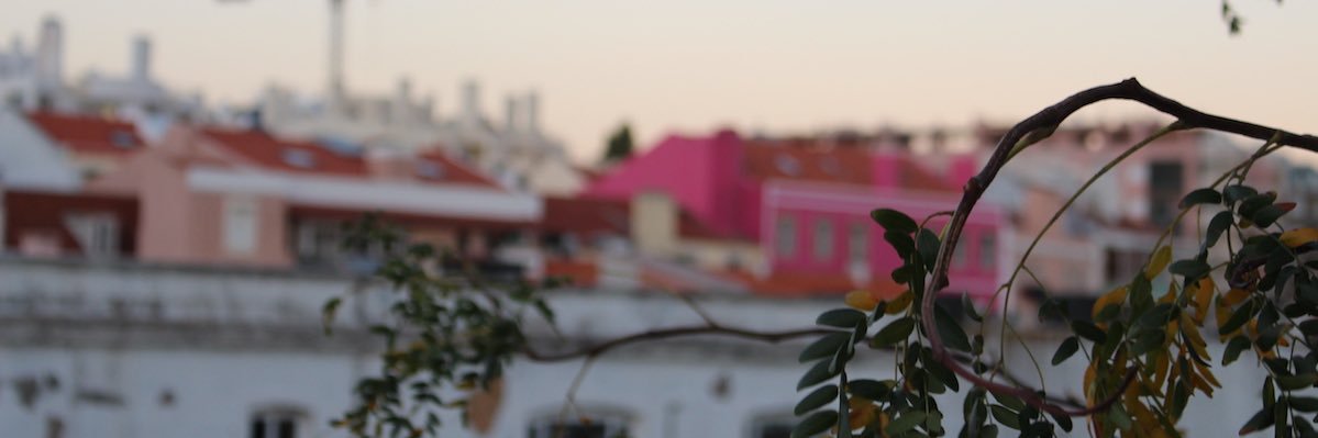 adaatude's profile banner image