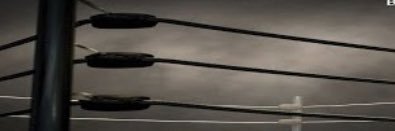 RipWrestler's profile banner image