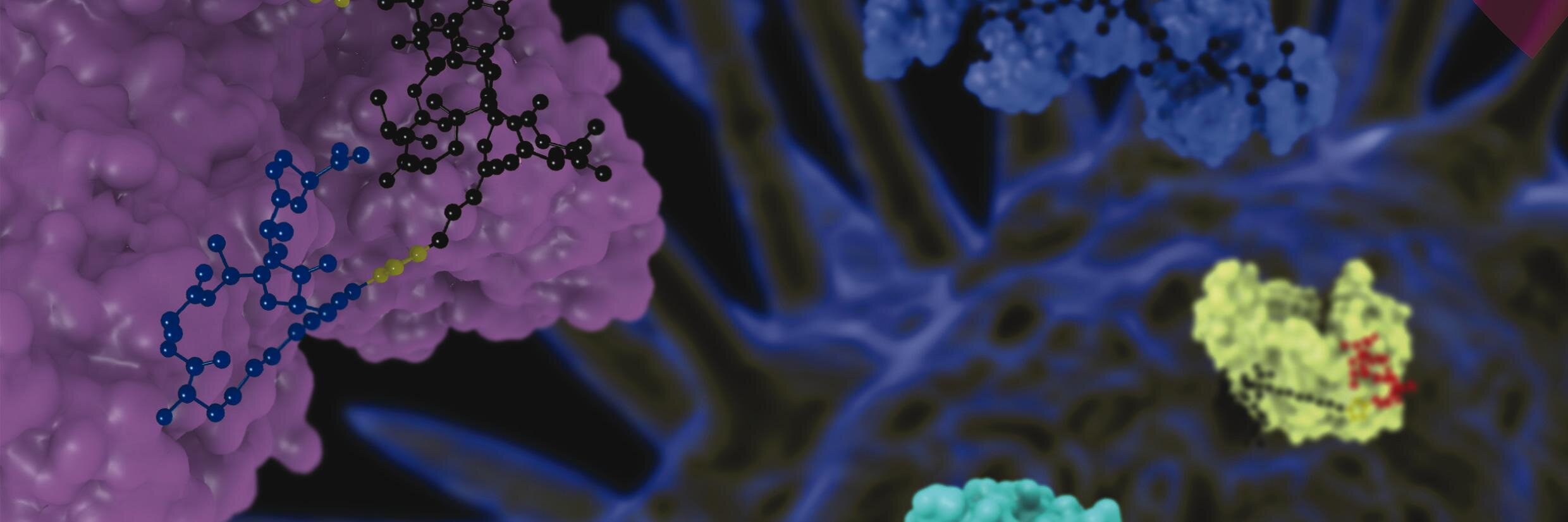 i_Biology's profile banner image