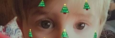 amberschwebke's profile banner image