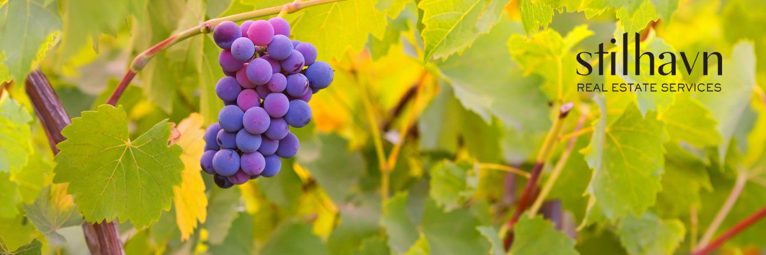 Terry Osti REALTOR® banner