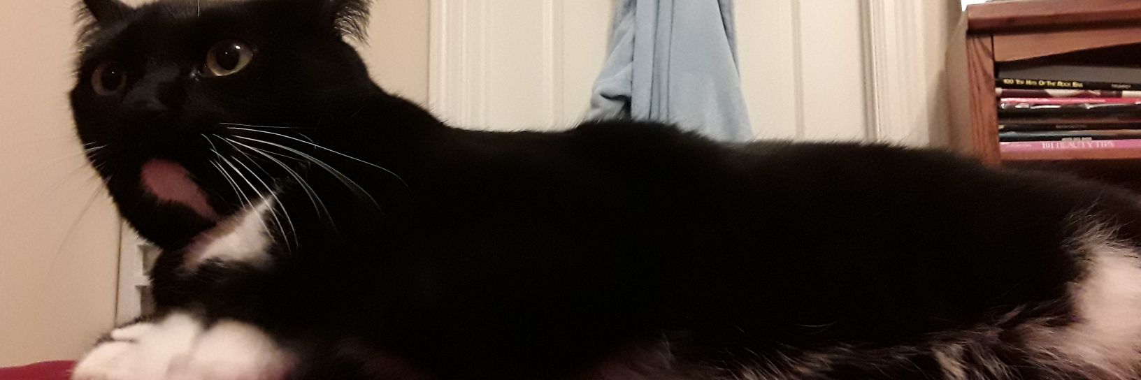 michaelachabby's profile banner image