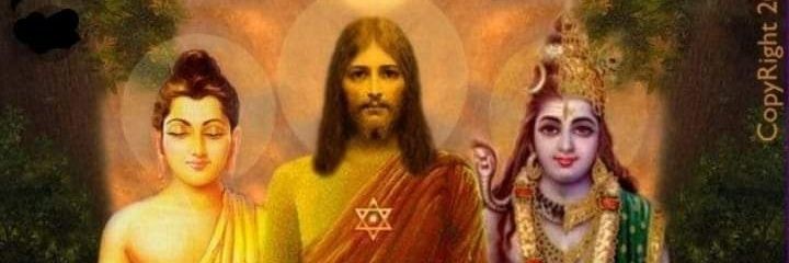 pjdomingos's profile banner image