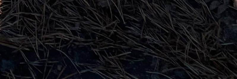 Jill Eriksson banner