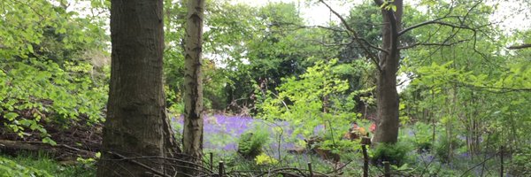 Watkin7D Profile Banner