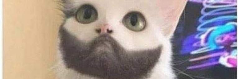 AtseBenjamin's profile banner image