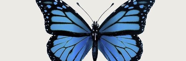 bverrill's profile banner image
