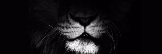 bradsmith2878's profile banner image