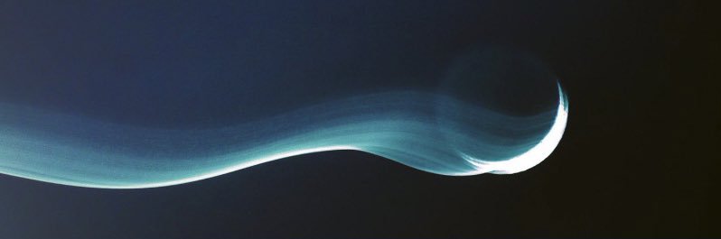 YeaitsEstefania's profile banner image