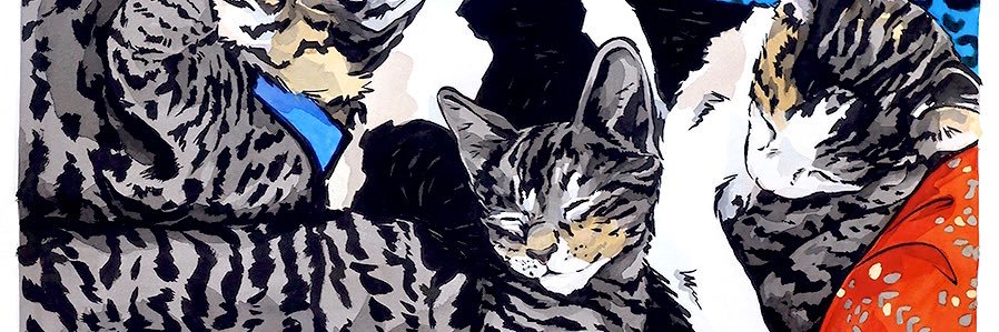 Erin Marie Mauterer banner