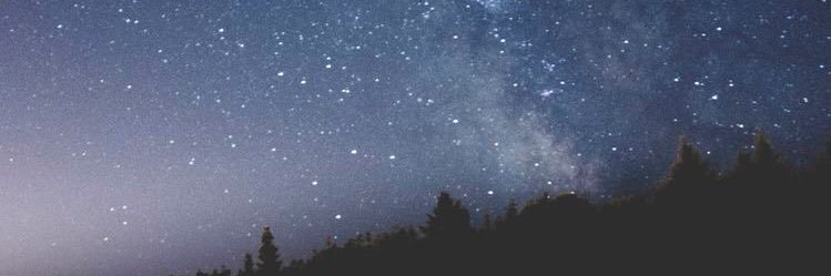 Marisa_Taro's profile banner image