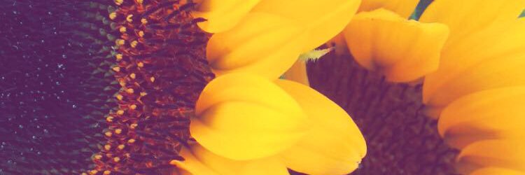 MariRussell21's profile banner image