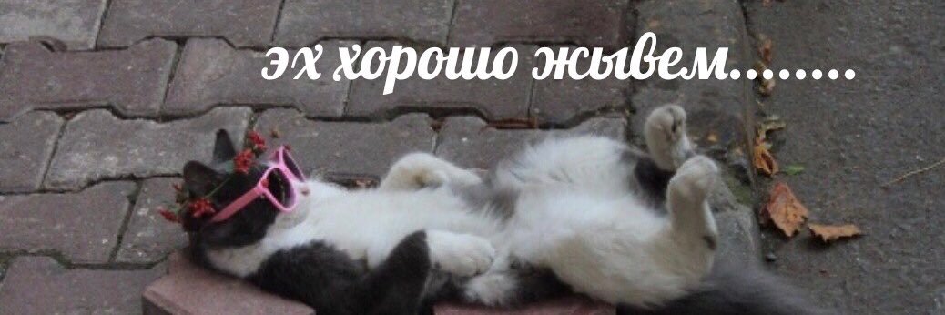 Stasia_ecstasy's profile banner image