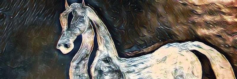 gnsalminen's profile banner image
