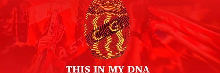 ginessanchez_'s profile banner image