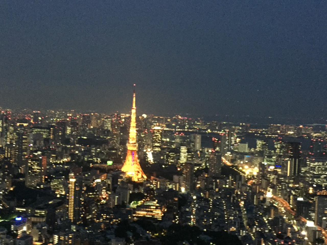 twit_rena's profile banner image