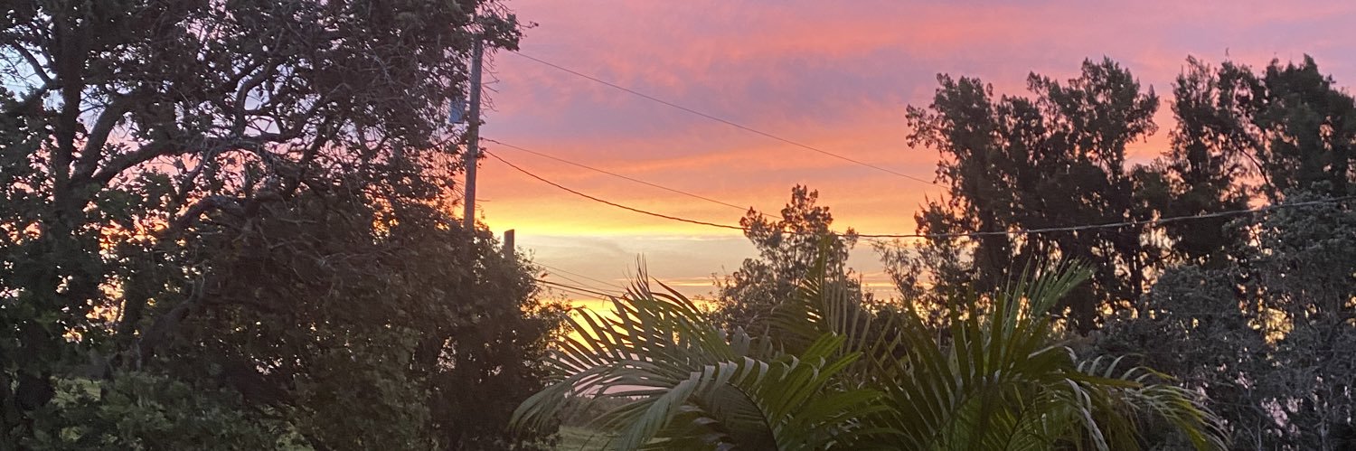 Kalaniku's profile banner image