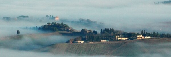 timatkin Profile Banner