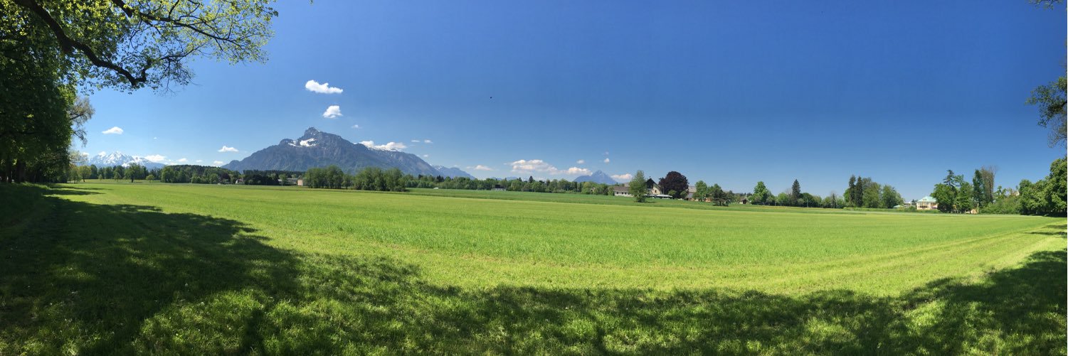 Eric Sitterle banner