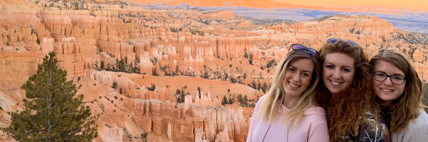 gingerheadabby's profile banner image