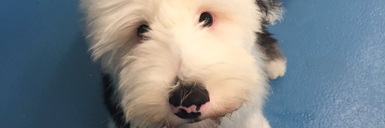 sloaner's profile banner image