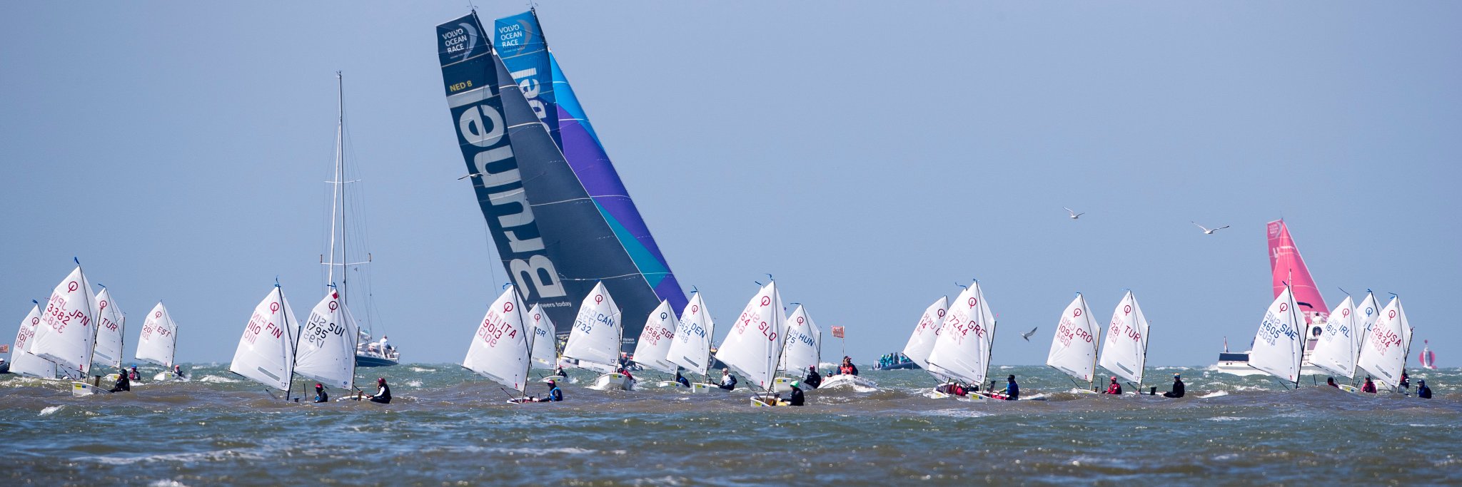 Sander van der Borch banner