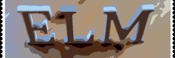 elmimage's profile banner image
