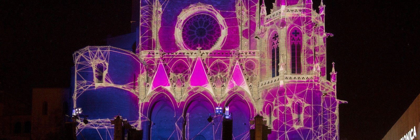 Alfons Meister banner