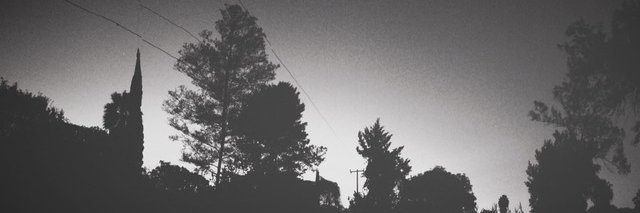 ladamore's profile banner image