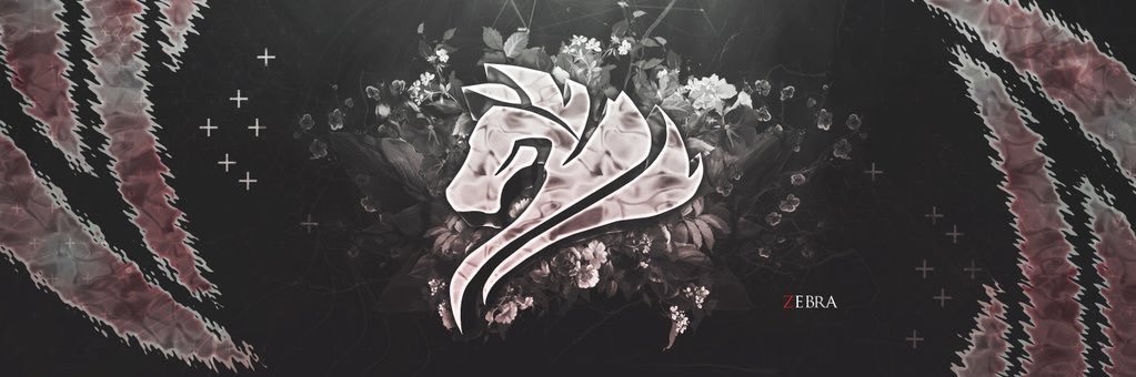 ZBRFA's profile banner image