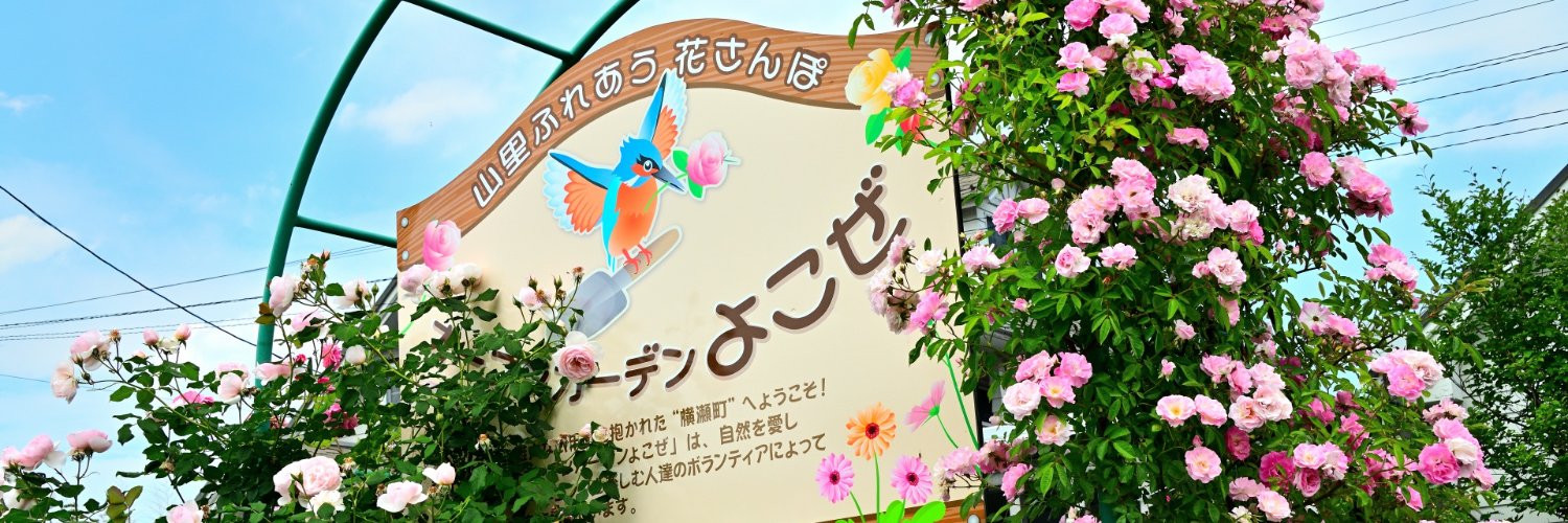 shibazakurac banner