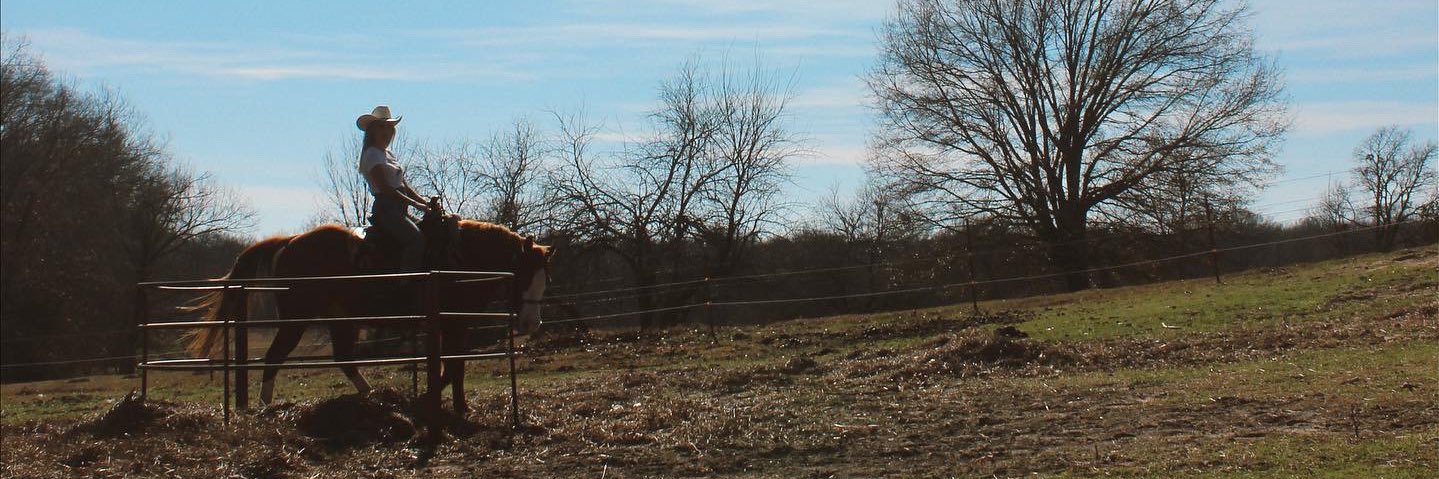 SaluteEmma's profile banner image